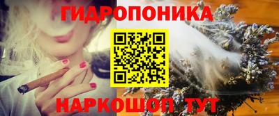 spice Камышлов